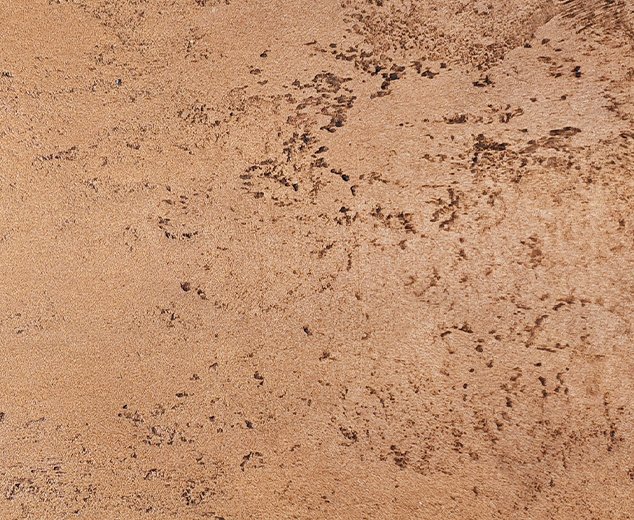 Kreativní omítky Baumit CreativTop