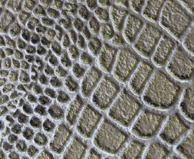 Kreativní omítky Baumit CreativTop