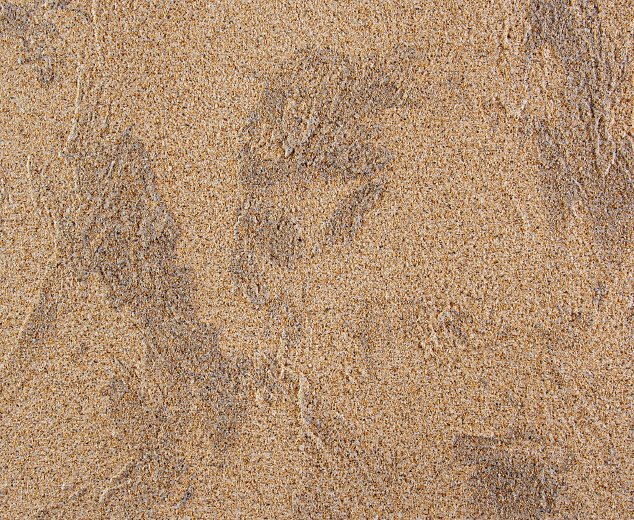 Kreativní omítky Baumit CreativTop