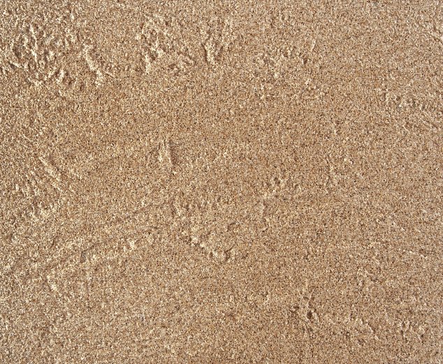 Kreativní omítky Baumit CreativTop