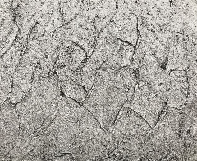 Kreativní omítky Baumit CreativTop